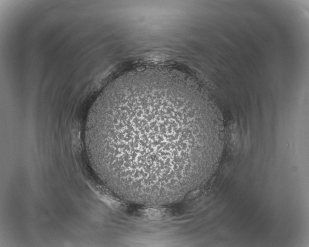 X0000078020615200611101848