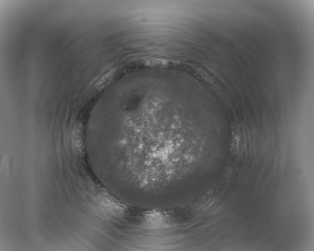 X0000078020616200611101848