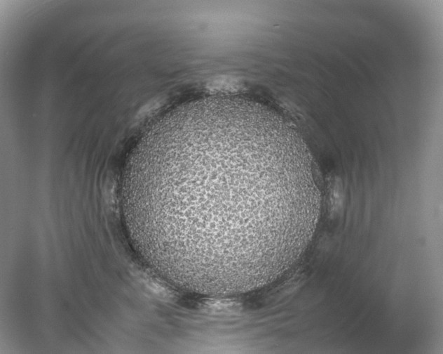 X0000078020619200611101848