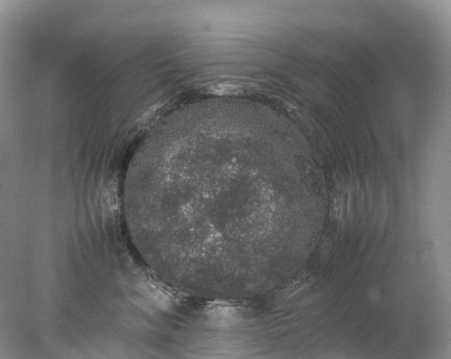 X0000078020620200611101848