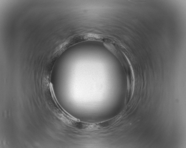 X0000078020621200611101848