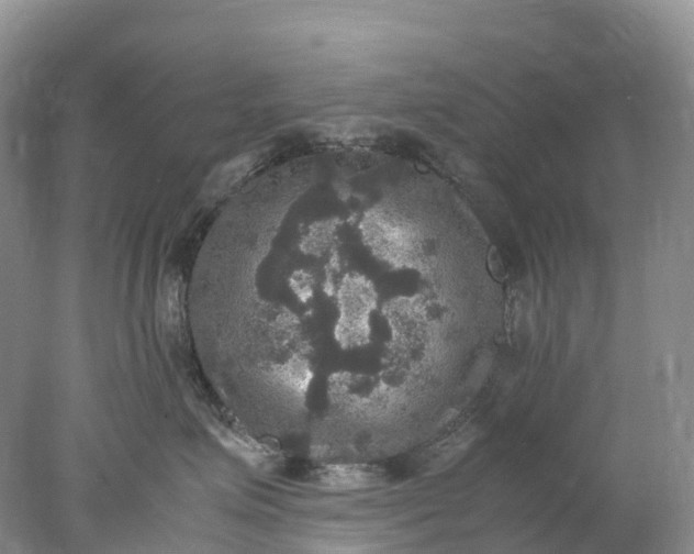 X0000078020623200611101848