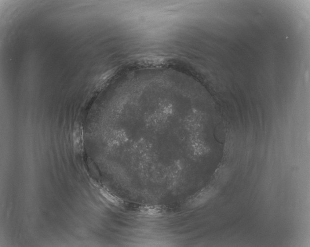 X0000078020624200611101848