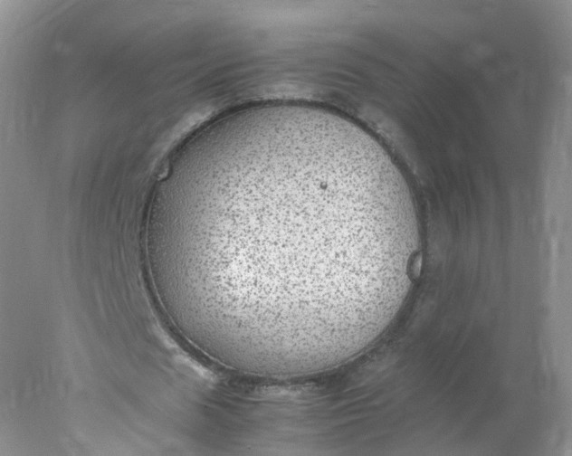 X0000078020625200611101847