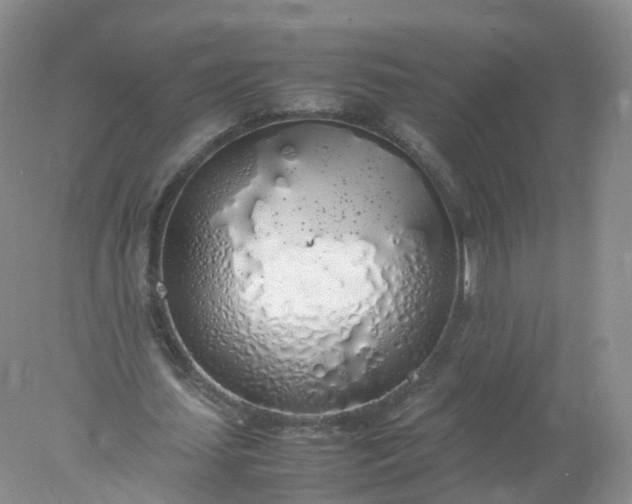 X0000078020627200611101847