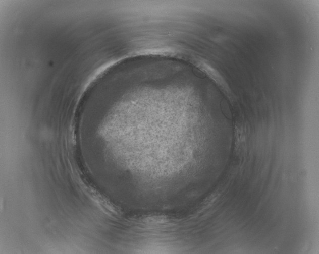 X0000078020628200611101847