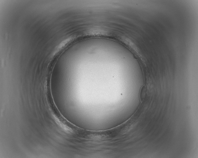 X0000078020629200611101847