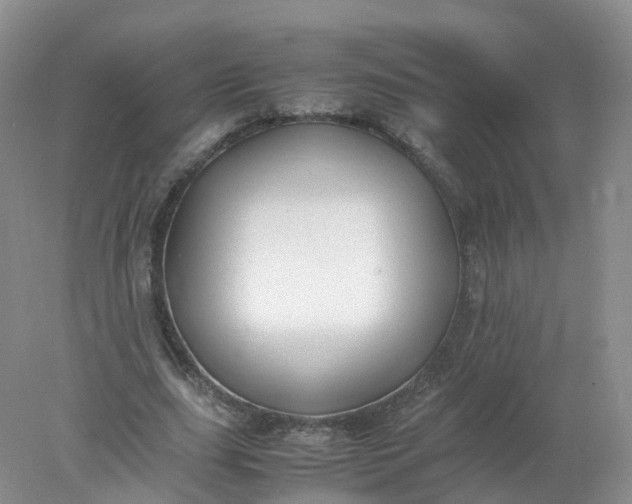 X0000078020631200611101847