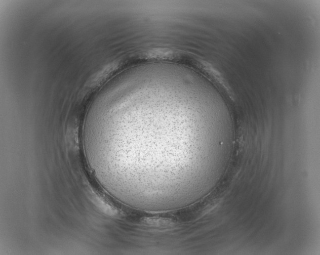 X0000078020633200611101848