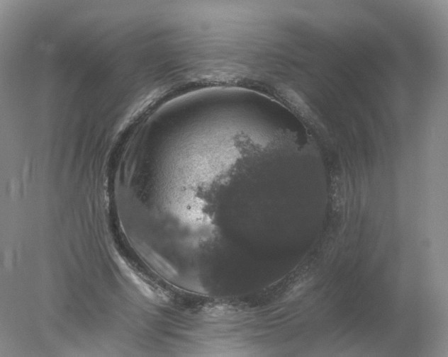 X0000078020634200611101848