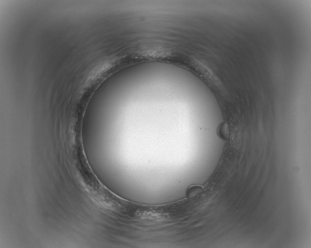 X0000078020635200611101848