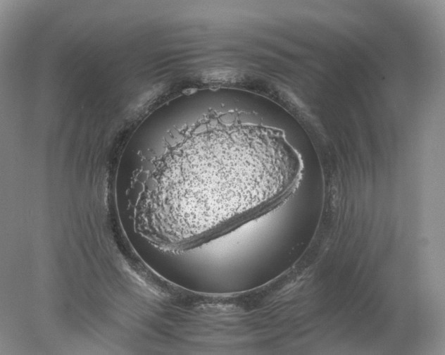 X0000078020637200611101848