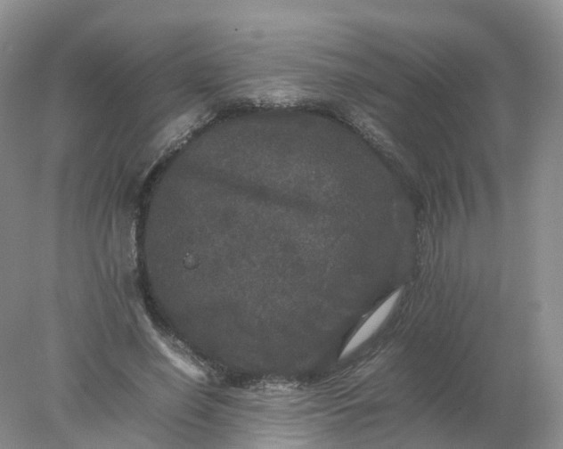 X0000078020638200611101848