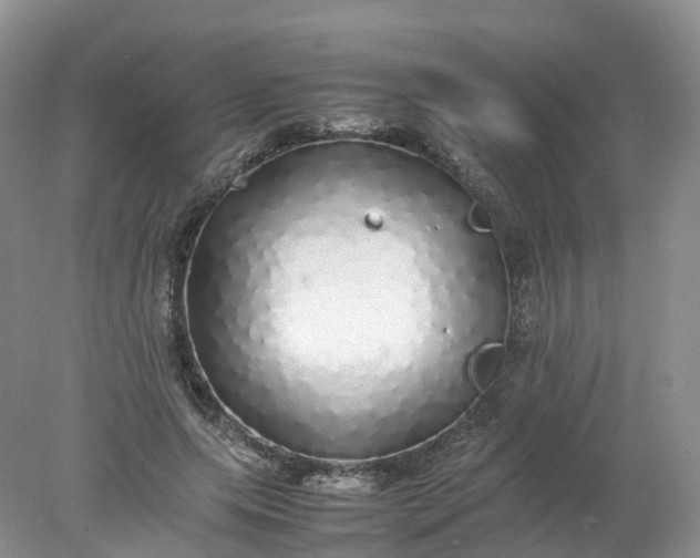 X0000078020639200611101848