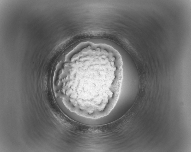 X0000078020640200611101848