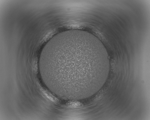 X0000078020642200611101848