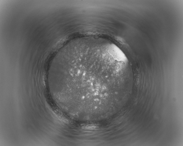 X0000078020643200611101848