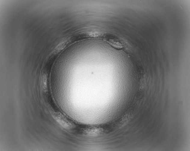 X0000078020646200611101848