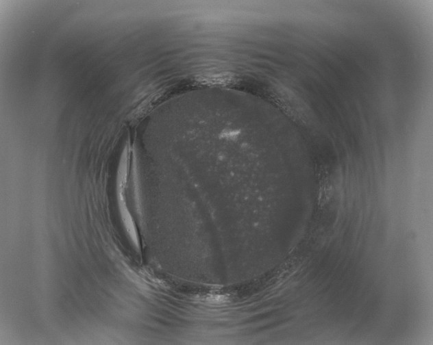 X0000078020647200611101848