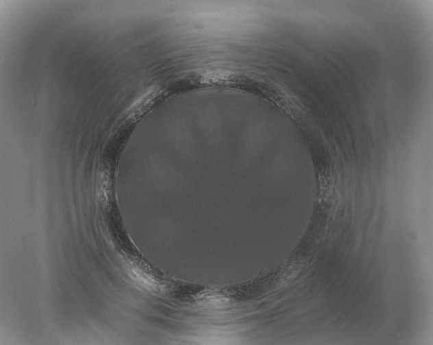 X0000078020648200611101848