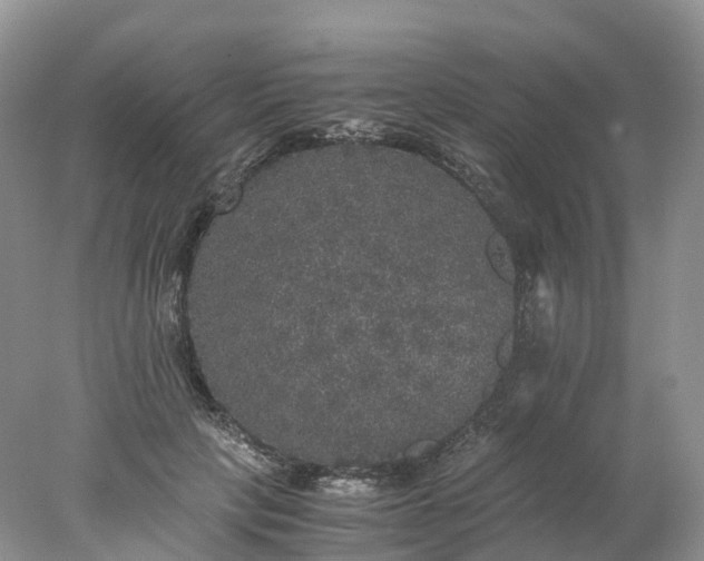 X0000078020649200611101848