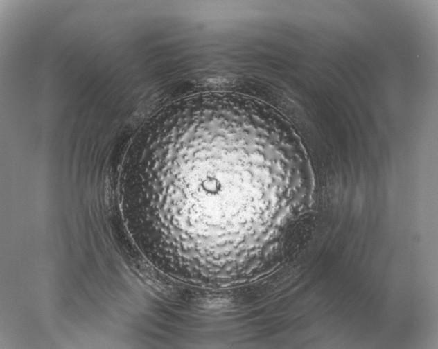 X0000078020651200611101848