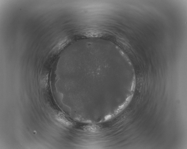 X0000078020652200611101848