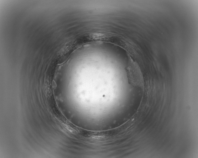 X0000078020653200611101848