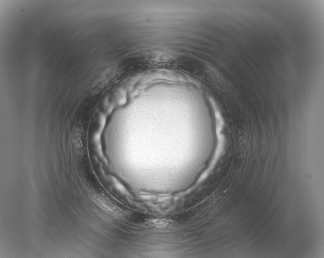 X0000078020654200611101848