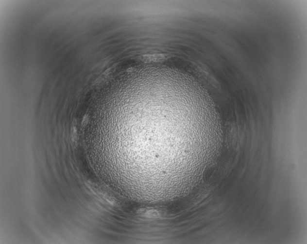 X0000078020655200611101848