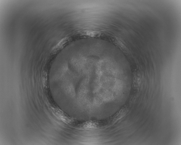 X0000078020656200611101848