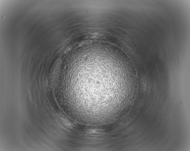 X0000078020657200611101848