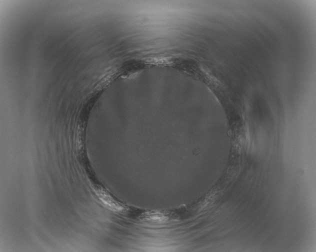 X0000078020658200611101848