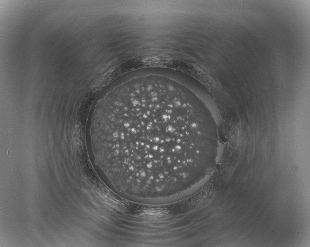 X0000078020659200611101848