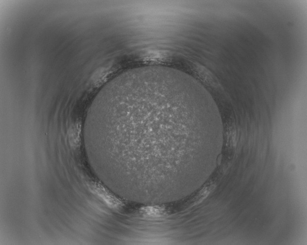 X0000078020660200611101848