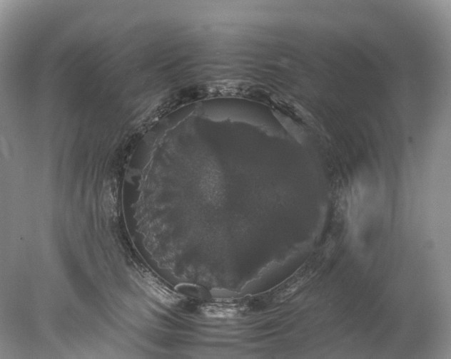 X0000078020661200611101848