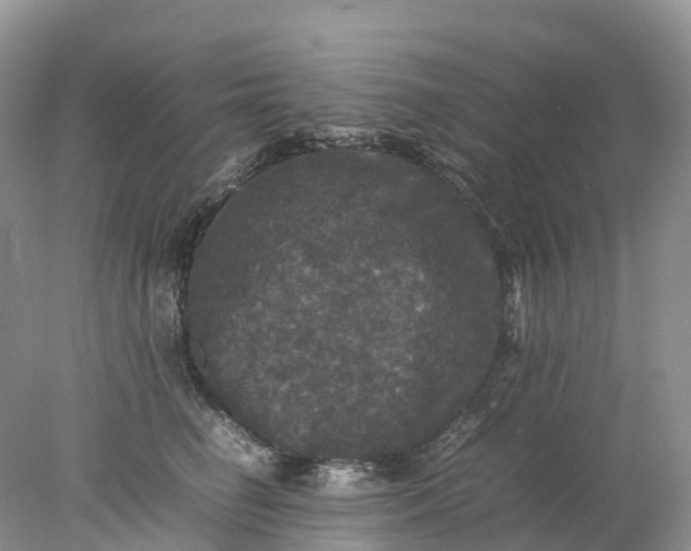 X0000078020662200611101848