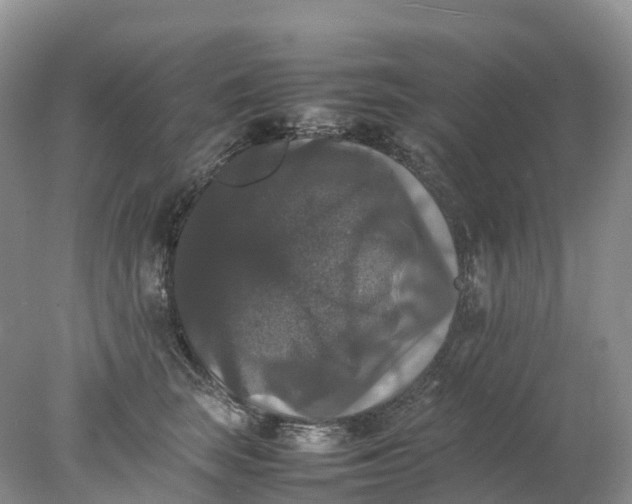 X0000078020663200611101848