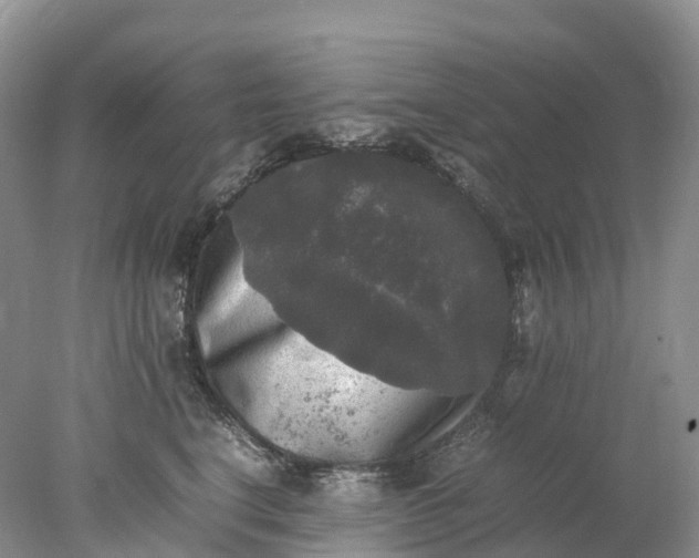 X0000078020664200611101848