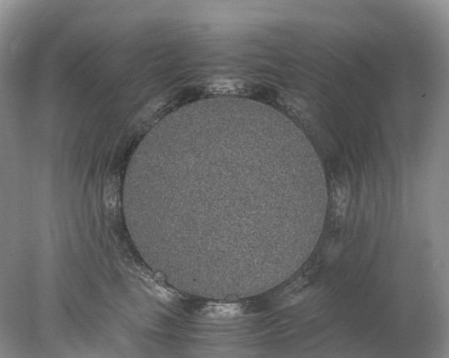 X0000078020665200611101848