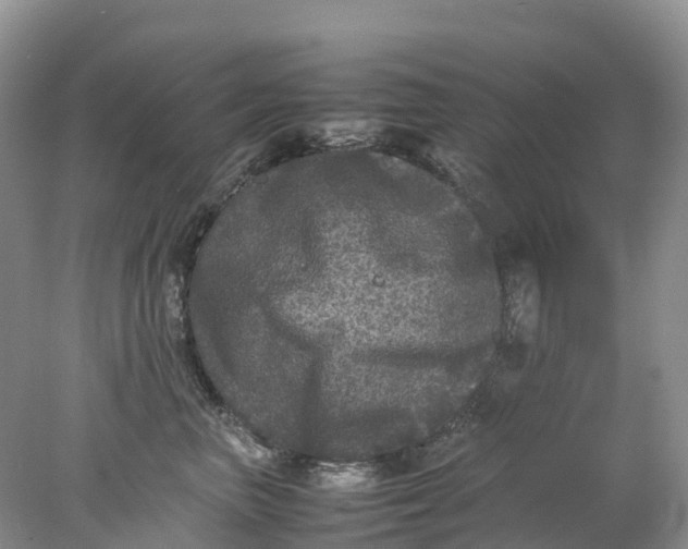 X0000078020667200611101848