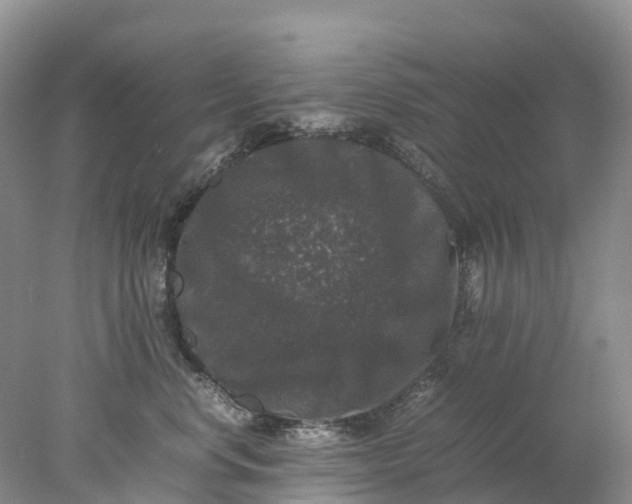 X0000078020668200611101848