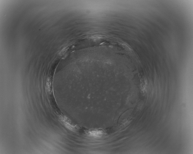 X0000078020669200611101848