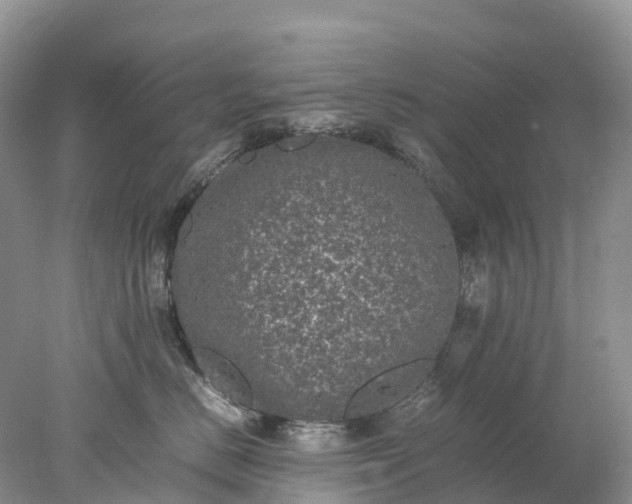 X0000078020670200611101848