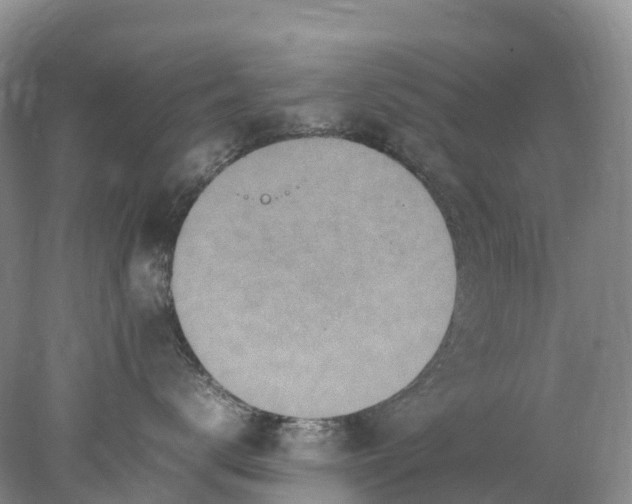 X0000078020672200611101848