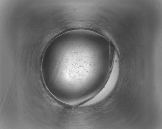 X0000078020673200611101847