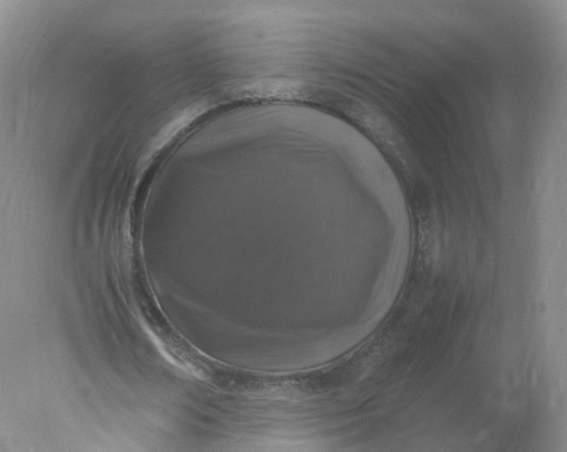 X0000078020674200611101847