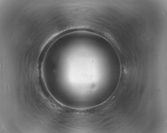 X0000078020676200611101847