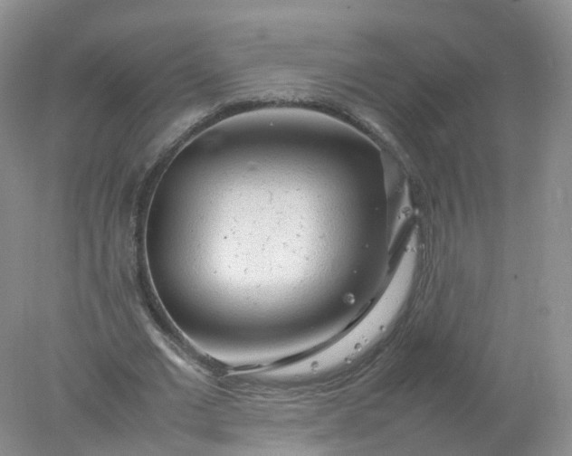 X0000078020677200611101847