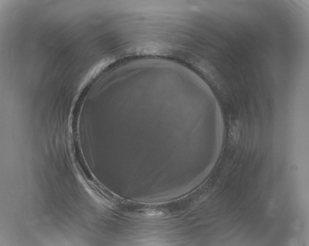 X0000078020678200611101847